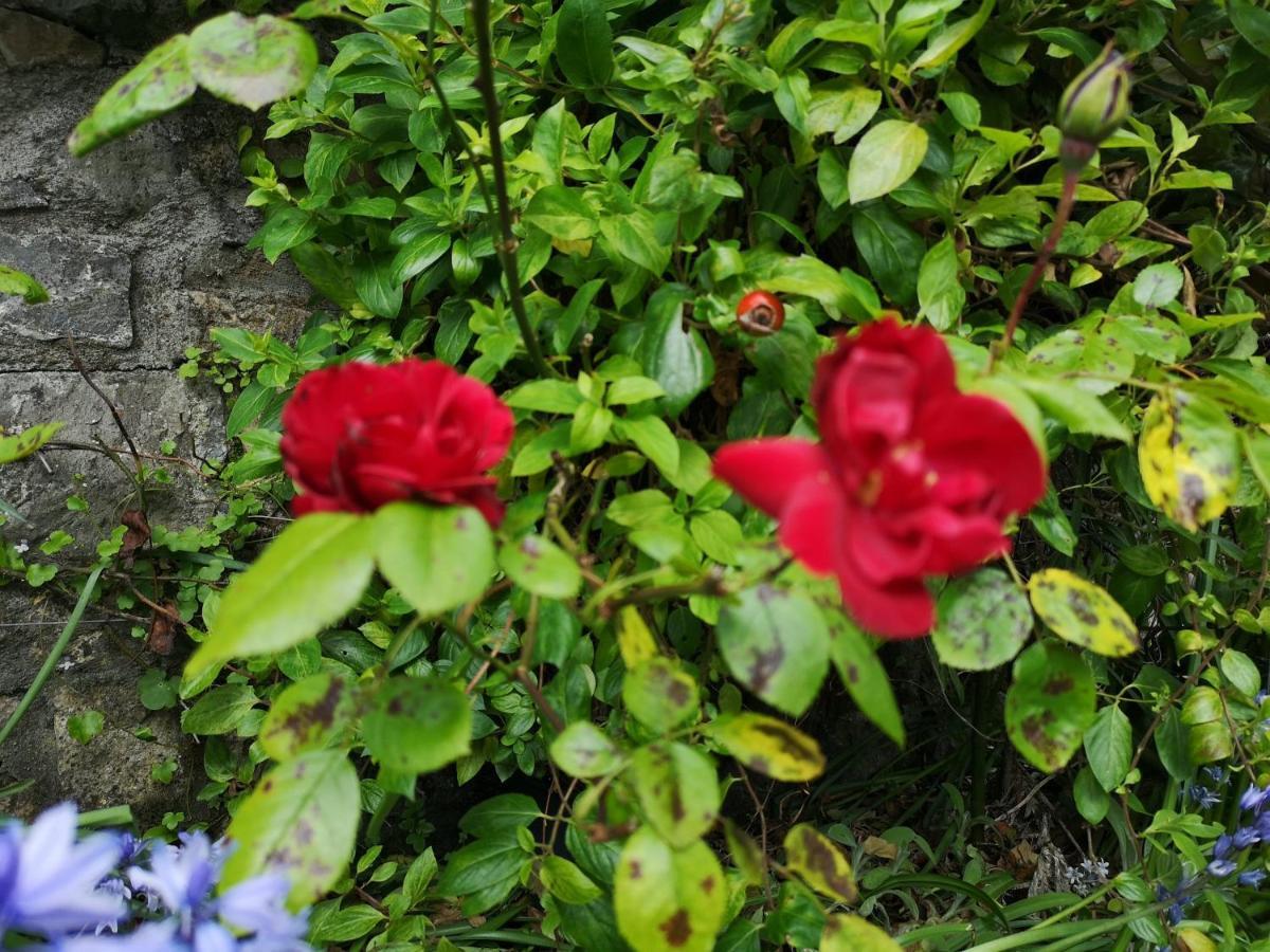 Townsend House Guest House 버 외부 사진